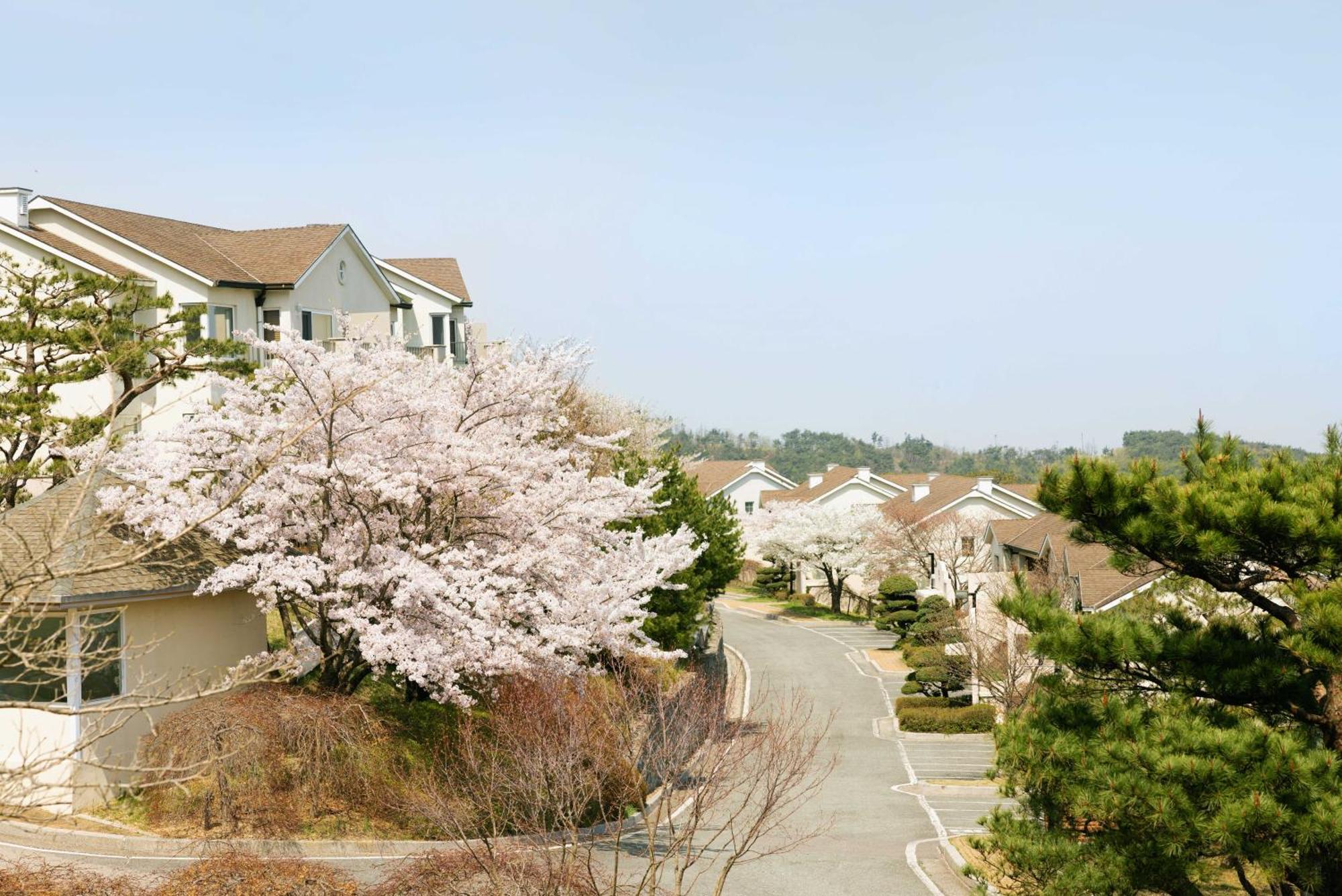 Gyeongju Mauna Ocean Resort Exterior foto