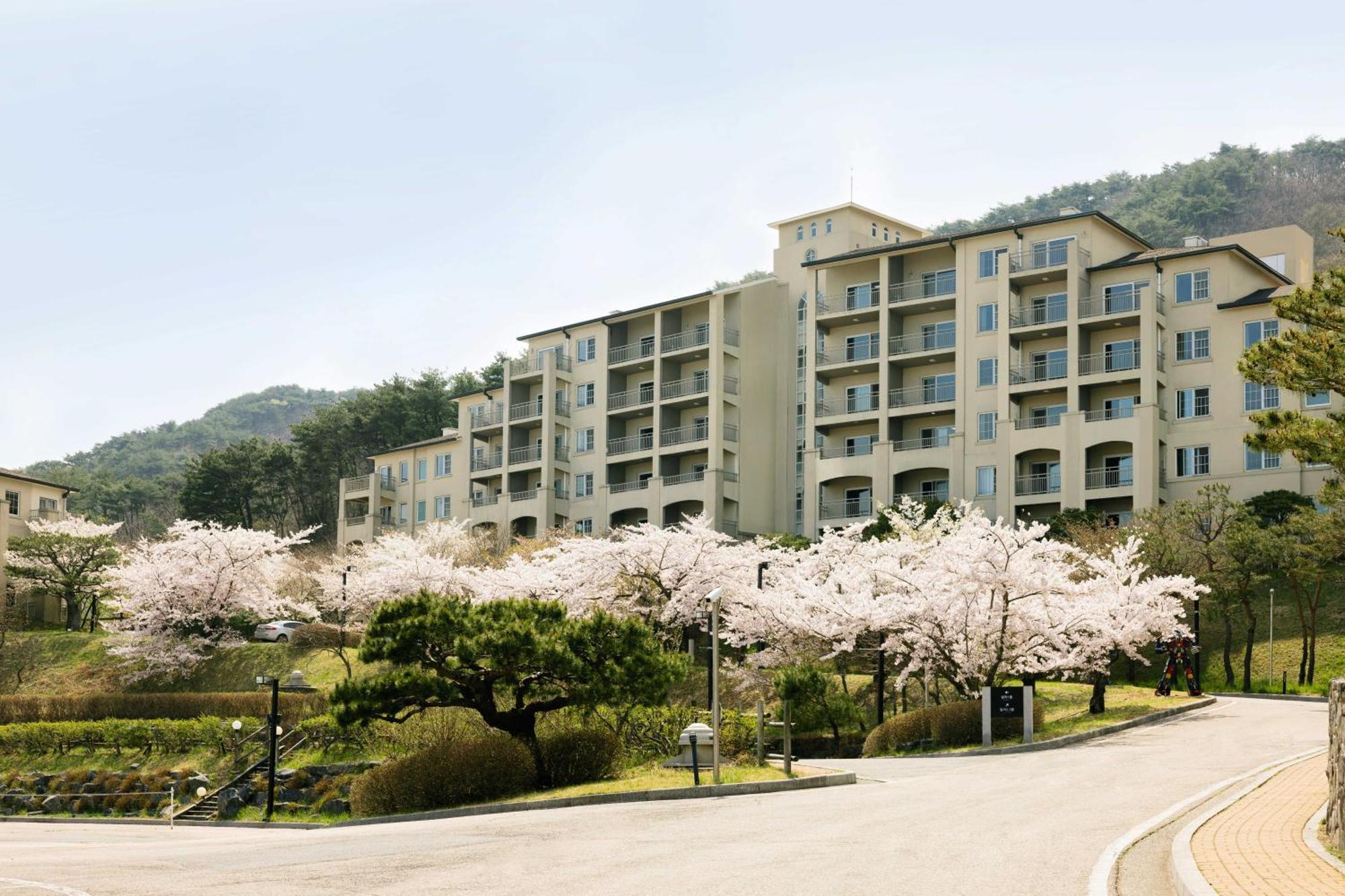 Gyeongju Mauna Ocean Resort Exterior foto