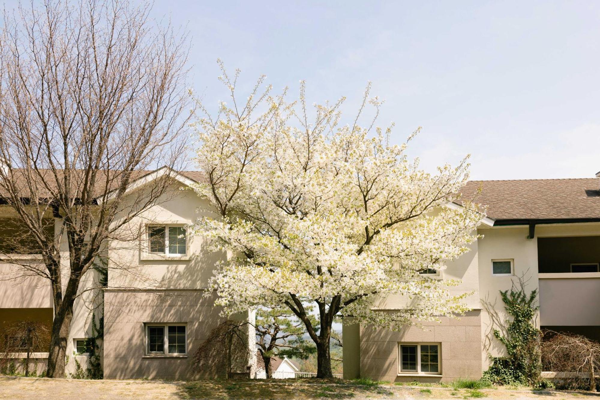 Gyeongju Mauna Ocean Resort Exterior foto